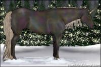 Horse Color:Midnight Liver Chestnut Pearl 