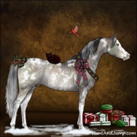 Horse Color:White Spotted Brown Ice Dun Mushroom Sabino Splash Rabicano Brindle 