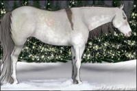 Horse Color:Platinum Liver Red Dun Sabino 