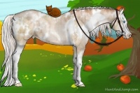 Horse Color:White Spotted Silver Buckskin Pearl Dun Splash 
