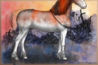 Horse Color:Plaid  White Spotted Liver Red Dun Sabino 