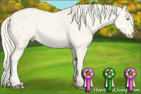 Horse Color:Cremello Dun 