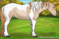Horse Color:Chestnut Pearl Tobiano 