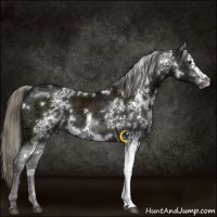 Horse Color:White Spotted Liver Chestnut Ice Mushroom 
