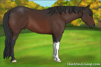 Horse Color:Brown 