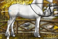 Horse Color:White Spotted Chocolate Palomino Pearl Dun Sabino Brindle