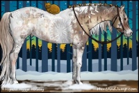 Horse Color:Liver Red Onyx Ice Tobiano Rabicano