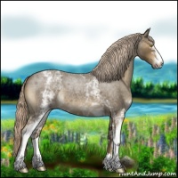 Horse Color:White Spotted Chocolate Palomino Roan 