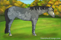 Horse Color:Black Ice 
