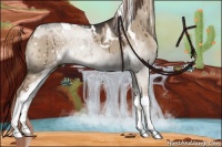 Horse Color:White Spotted Liver Red Dun 