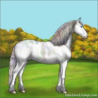 Horse Color:Nacre Watercolor White Spotted Cremello Dun Sabino Splash Rabicano 