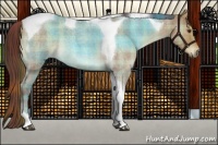 Horse Color:Plaid  Liver Red Dun Roan Tobiano 