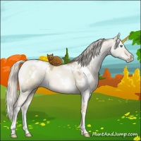 Horse Color:White Spotted Chocolate Palomino Pearl Dun