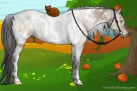 Horse Color:White Spotted Buckskin Dun