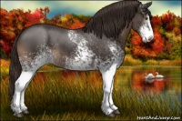 Horse Color:White Spotted Liver Chestnut 