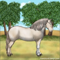 Horse Color:White Spotted Chocolate Palomino Pearl Dun 
