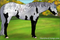 Horse Color:Watercolor Black Ice Splash 