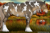 Horse Color:White Spotted Chocolate Palomino Roan Rabicano