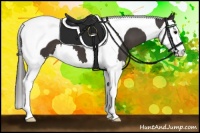 Horse Color:Smoky Black Splash Tobiano 