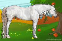 Horse Color:Gray White Spotted Liver Red Dun Pearl Sabino