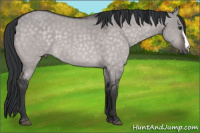 Horse Color:Platinum Brown Dun 