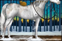 Horse Color:White Spotted Liver Red Dun Ice Sabino Splash Rabicano 