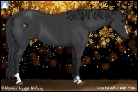 Horse Color:Black Sabino 