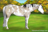 Horse Color:White Spotted Brown Ice Dun Splash 