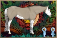 Horse Color:Smoky Grullo Splash