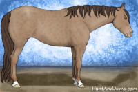 Horse Color:Classic Champagne