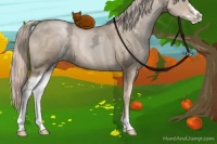 Horse Color:Chocolate Palomino Ice Pearl Sabino