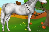 Horse Color:White Spotted Chocolate Silver Grullo Chinchilla Sabino 