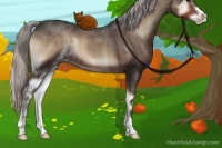 Horse Color:Silver Blue Onyx Sabino