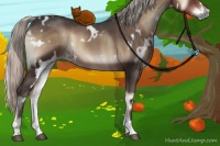 Horse Color:White Spotted Silver Blue Onyx 