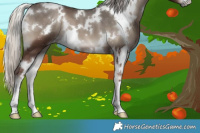 Horse Color:White Spotted Silver Blue Onyx 