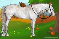 Horse Color:White Spotted Brown Pearl Dun Splash
