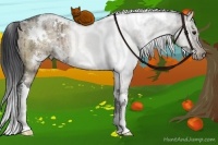 Horse Color:White Spotted Brown Ice Dun Rabicano 