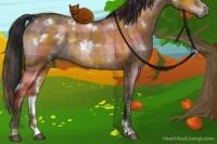 Horse Color:Plaid  White Spotted Brown Dun Rabicano 