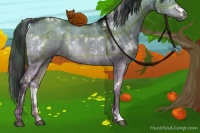 Horse Color:Plaid  White Spotted Brown Dun Rabicano 