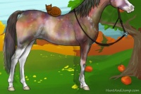 Horse Color:Nacre Brown Onyx Sabino Rabicano 