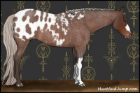 Horse Color:Silver Brown Roan Appaloosa 