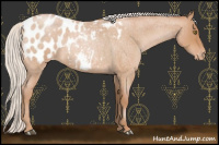 Horse Color:Chocolate Silver Bay Roan Pearl Blanket 