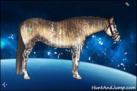 Horse Color:Buckskin Onyx Splash and Smoky Blue Onyx