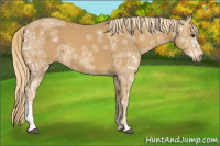 Horse Color:Chestnut Ice 