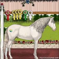 Horse Color:Perlino 