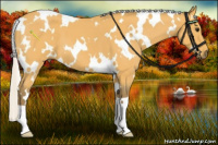 Horse Color:White Spotted Silver Buckskin Roan