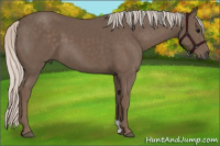 Horse Color:Silver Black