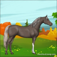 Horse Color:Silver Black 