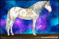 Horse Color:White Spotted Silver Buckskin Dun Splash Appaloosa 