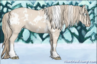 Horse Color:White Spotted Smoky Creme 